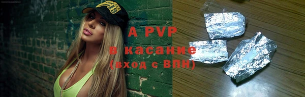 прущие грибы Осинники
