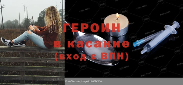 прущие грибы Осинники