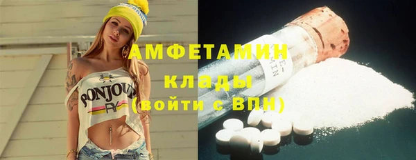 прущие грибы Осинники