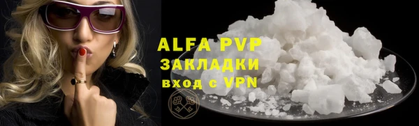 прущие грибы Осинники
