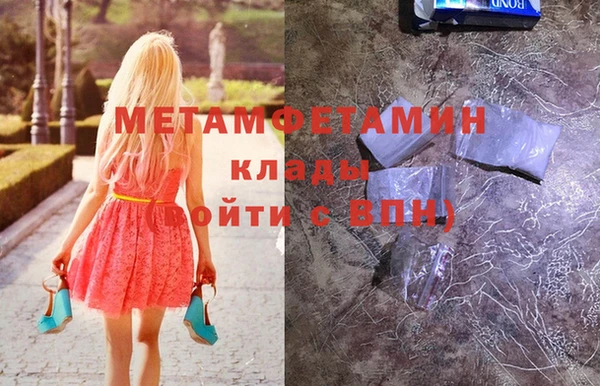 прущие грибы Осинники