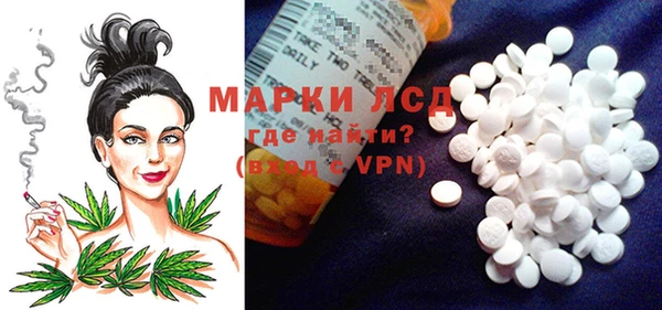 прущие грибы Осинники