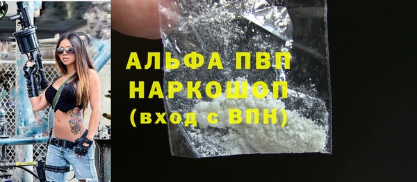 прущие грибы Осинники