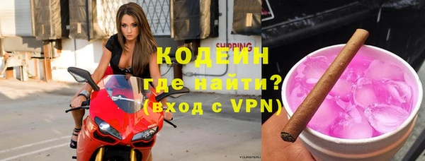 прущие грибы Осинники