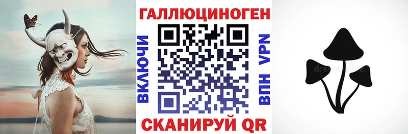 Псилоцибиновые грибы GOLDEN TEACHER  как найти наркотики  Собинка 